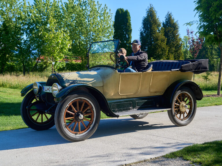 REVIJA STAREJŠIH STARODOBNIKOV DSV KAMNIK – 17. MAJ 2026, ARBORETUM VOLČJI POTOK